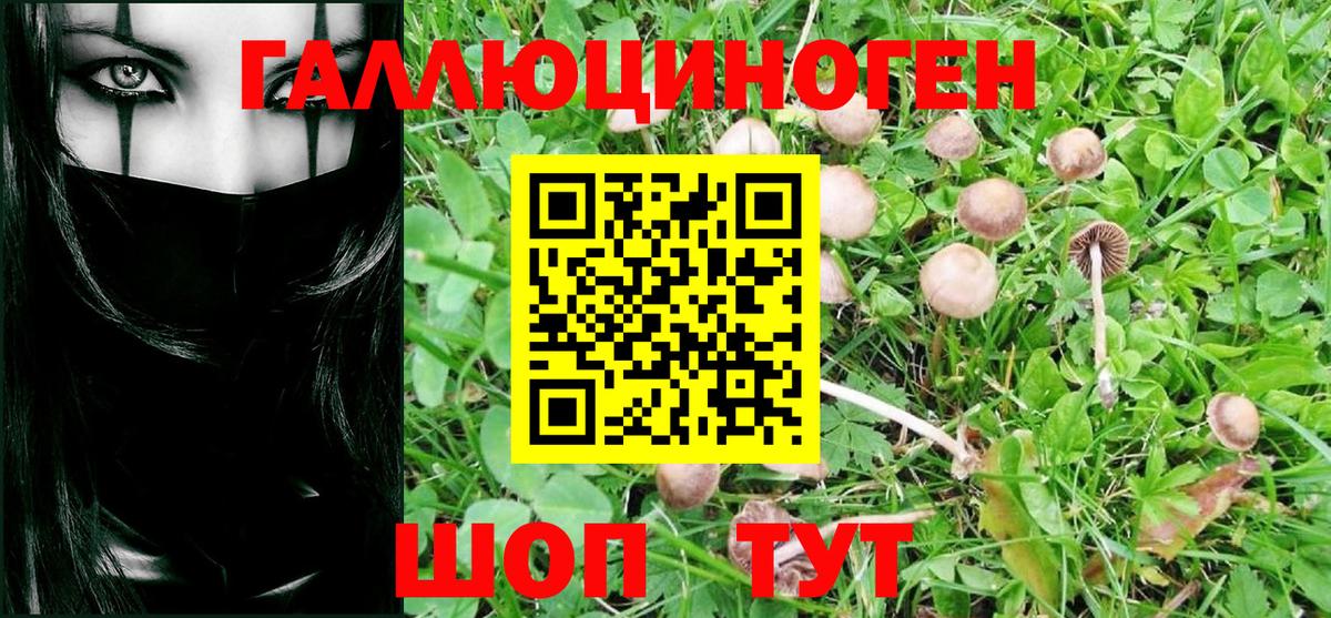 Галлюциногенные грибы мухоморы  Галлюциногенные грибы GOLDEN TEACHER  Тулун  Вход с VPN 